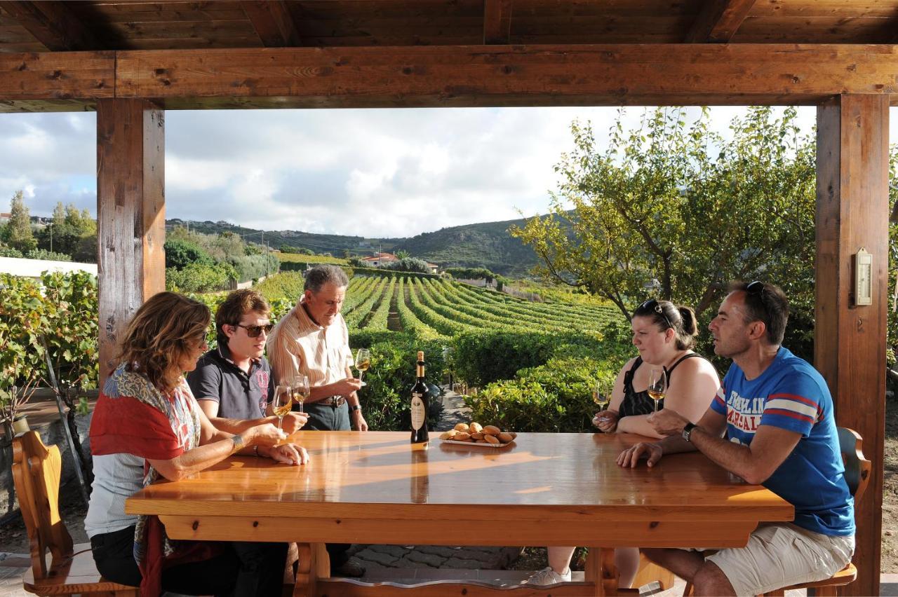 Apartmán Casa Nel Vigneto Con Vista Mare Magomadas Exteriér fotografie
